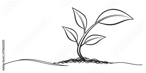 Christmas vector a simple line drawing of a young plant sprouting from the ground with three leaves visible above