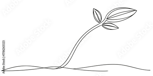 Christmas vector simple minimalist drawing of a seedling sprouting with leaves in black outline on a white background