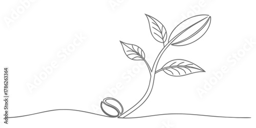 Christmas vector a coffee bean sprouting into a plant with leaves on a line drawing against a white background scene