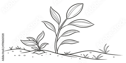 Christmas vector illustration of plants growing in the ground with leaves and simple line art in black and white style