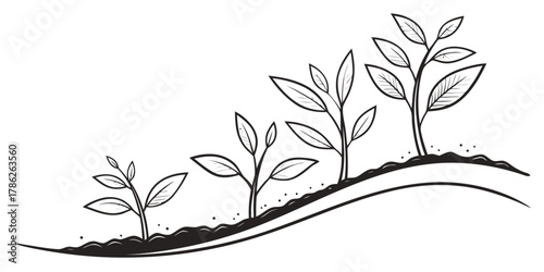 Christmas vector illustration of plant growth stages from seedling to mature plant in a row on a small hill