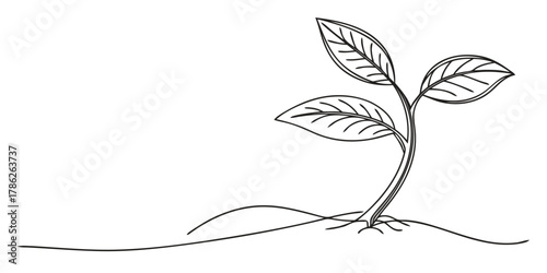 Christmas vector a simple line drawing of a small plant with three leaves sprouting from the ground in black and white
