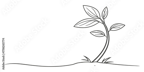 Christmas vector illustration of a young plant with leaves growing from the ground in a simple line drawing style