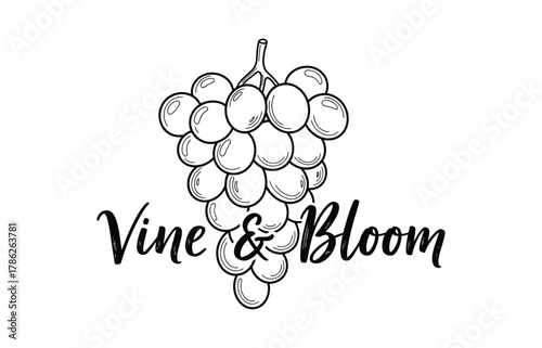 A bunch of grapes with the text "Vine & Bloom" written beneath it in a decorative font.