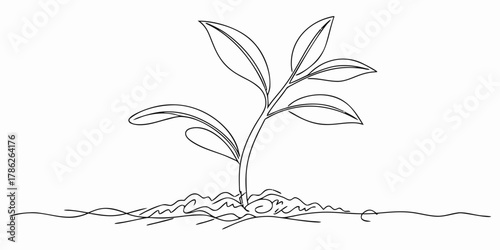 Christmas vector a simple line drawing of a young plant with leaves growing from soil in black and white illustration