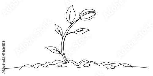 Christmas vector a single line drawing of a sprouting plant with leaves growing from soil in a minimalist style