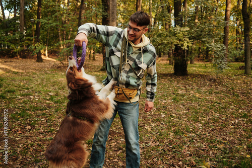 Energetic Australian Shepherd dog jumping, pulling toy from male owner hand in forest. Concept of play and vitality with pet