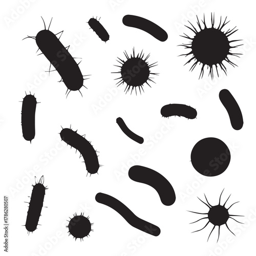 Collection of various bacteria shapes and sizes, showcasing the diversity and microscopic world of microorganisms and their structures
