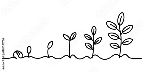 Plant growth cycle progression from seed to mature plant simple
