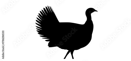 a silhouette of a turkey on a plain transparent backgroundbird, black, cock, crane, flap, goose, pheasant, profile, spread, stand, wing 