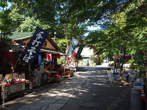 緑に包まれた深大寺参道の癒し風景。