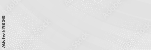 Abstract white and gray color background.texture with diagonal lines.Vector background can be used in cover design, book design, poster, website backgrounds or advertising.