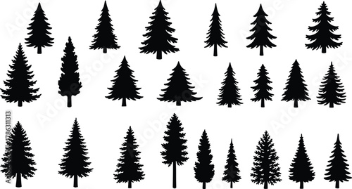 Evergreen pine and fir tree silhouettes collection, conifer forest vector set, nature woodland design, Christmas and winter tree illustration