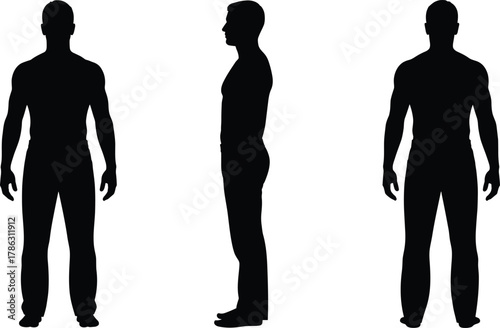 Male body silhouette front, side, and back view, muscular man figure, human anatomy reference, standing posture vector illustration