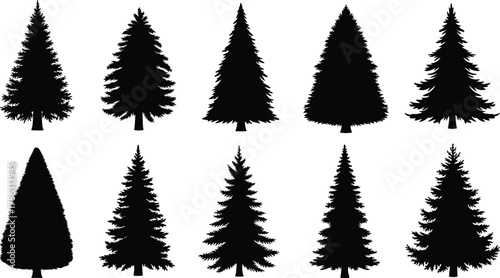 Pine and fir tree silhouette vector set, evergreen forest illustration, natural conifer shapes, winter woodland design, black nature art