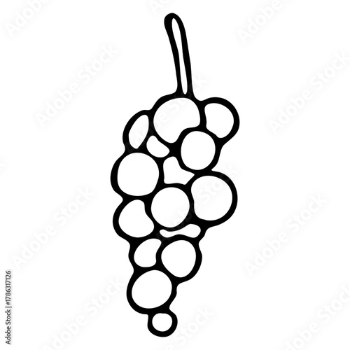 Vector doodle hand drawn grape bunch vine food fruit berry clip art ink fineliner pen