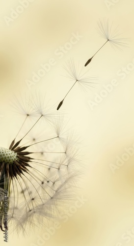 Delicate dandelion seeds dispersing on the wind symbolizing hope dreams and new beginnings in nature