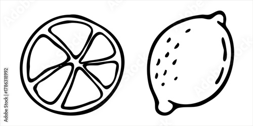 Vector doodle hand drawn lemon whole slice food fruit citrus set clip art ink fineliner pen