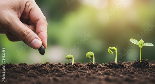 Human hand planting a seed in fertile soil with growing seedlings in sequence
