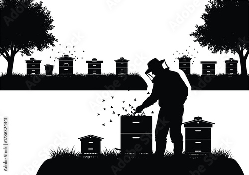Beekeeper inspecting beehives in garden, honey bee farming process, apiary management illustration, nature agriculture concept, pollination art, flat vector design