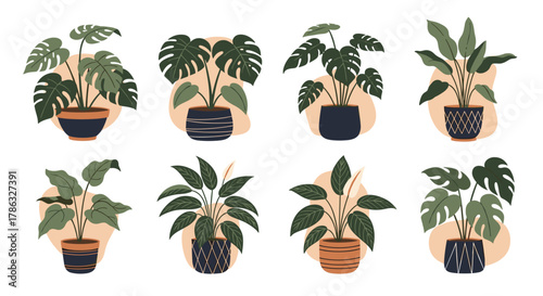 An elegant arrangement of various houseplants in decorative pots, featuring lush green leaves and minimalist abstract backgrounds, bringing nature indoors.