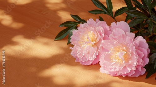Fototapeta Naklejka Na Ścianę i Meble -  Two pink peonies with green leaves on a wooden surface