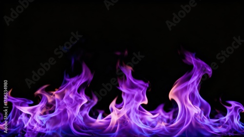 Vibrant purple flames dance intensely against a stark black background