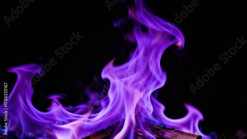 Vivid purple flames dance upward against a deep black background