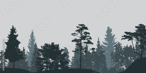 Dense forest silhouette with various evergreen trees under a soft, light grey sky