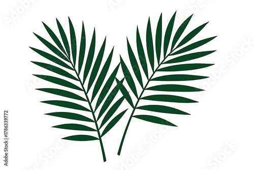 Two dark green palm fronds arranged in a heart shape