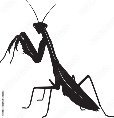 Silhouette of a praying mantis poised to strike its prey against a clean