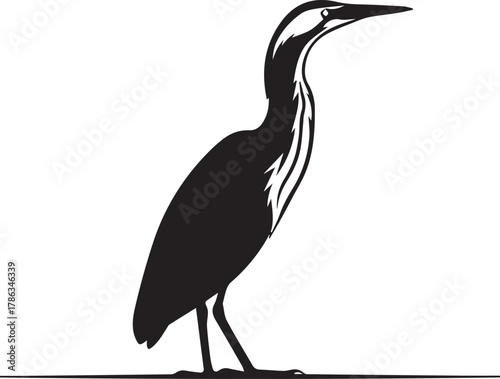 Elegant silhouette of a great blue heron standing gracefully on a thin line