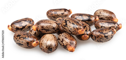 Fotografie Bean-shaped, mottled, glossy castor oil seeds on white background