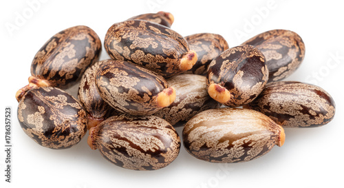 Bean-shaped, mottled, glossy castor oil seeds on white background. File contains clipping paths.