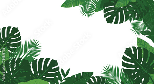 White background beautifully bordered by lush tropical leaves from top and bottom corners, perfect for natural themes.