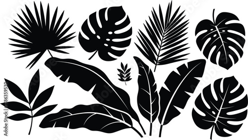 A collection of various tropical plant leaves are shown in black silhouette against a white background.