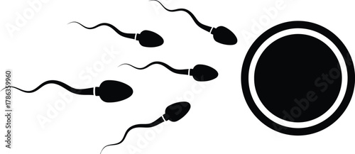 Sperm cells swimming towards an egg cell for fertilization.