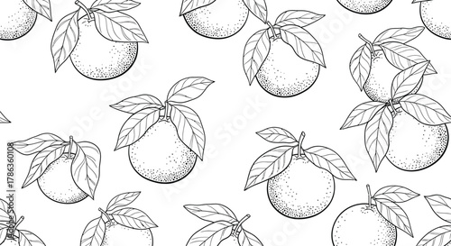 A repeating pattern of hand-drawn oranges with leaves against a white background.