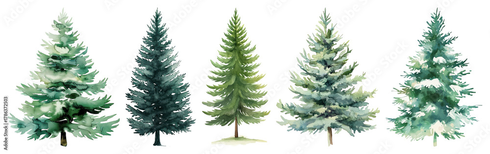 Obraz premium PNG Watercolor evergreen trees illustration, element set on transparent background