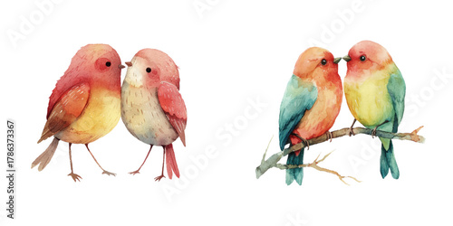 valentines couple birds watercolor vector illustration