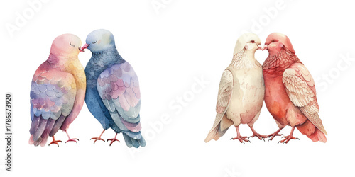 valentines couple doves watercolor vector illustration