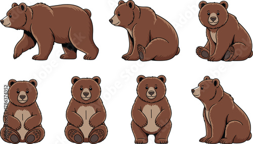 Cartoon brown bear poses, cute animal illustrations, sitting bear, walking bear, standing bear, forest wildlife clipart, character design bundle