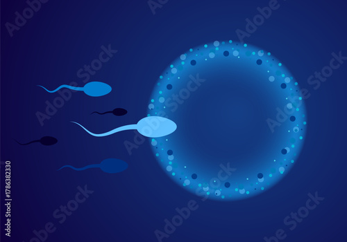 Natural fertilization. Sperm and egg. Natural fertilization. Sperm and egg vector illustration. Reproductive medicine health care pregnancy background