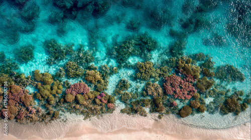 Fototapeta Naklejka Na Ścianę i Meble -  Aerial view colorful coral reef and tropical beach