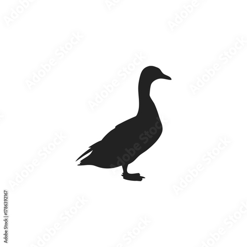Duck Silhouette Vector Illustration