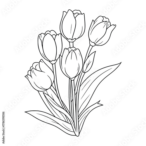 Tulip Bouquet Line Art – Elegant Black & White Floral Illustration Featuring Six Blooming Flowers with Leaves for Botanical Design