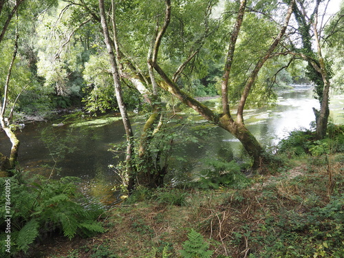 el río Ulla a su paso por la villa de Santiso, provincia de La Coruña, lugar tranquilo que transmite sosiego y calma para disfrutar de la flora y la fauna del lugar, Galicia, España, Europa
