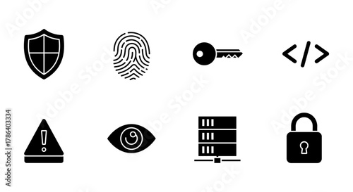 Security icon set: key, shield, lock, fingerprint, eye, code, database symbols