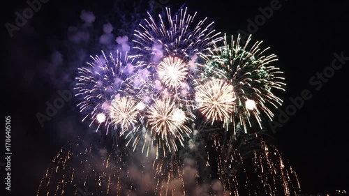 Fireworks exploding against black sky celebration display concept