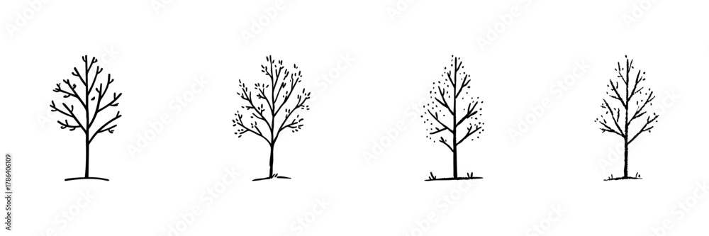 Fototapeta premium Four Trees Line Icon Set In Doodle Style. Seasonal Growth And Nature Cycle Outline Sketch Collection. Botanical Illustration Of Tree Variations. Hand Drawn Isolated Vector Illustration